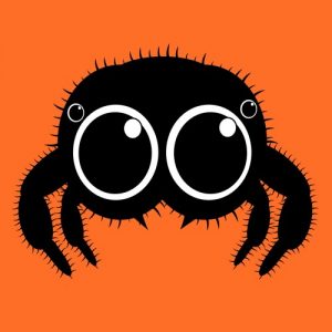 Under 500 Spotlight: smolspider